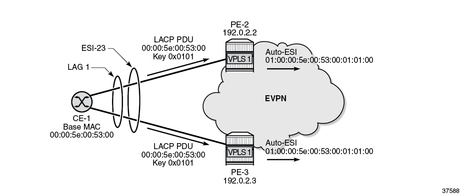 The example where CE-1 has LACP system MAC address 00:00:5e:00:53:00 and LACP port key 257 (= 0x0101)