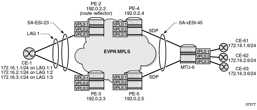 Example topology with four PEs in an EVPN-MPLS network