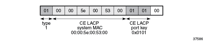 An example of ESI type 1 for LACP system MAC address 00:00:5e:00:53:00 and administrative key 257 (= 0x0101)