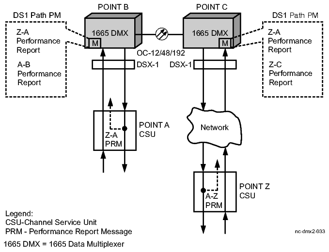 DS1 path performance monitoring