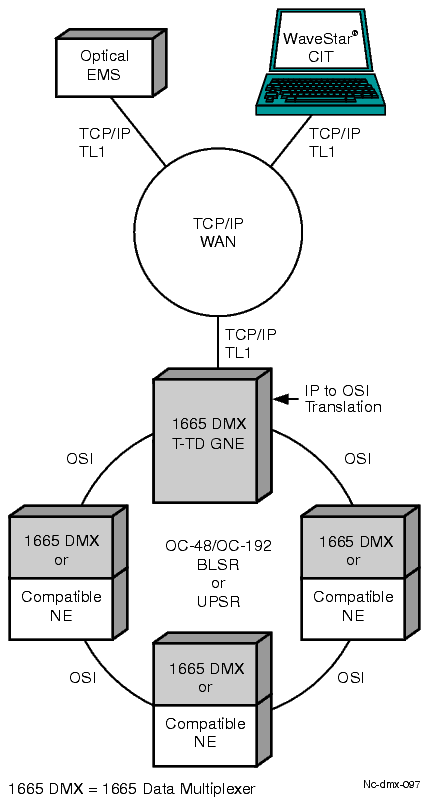 TL1 translation device
