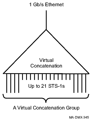 Virtual Concatenation Group