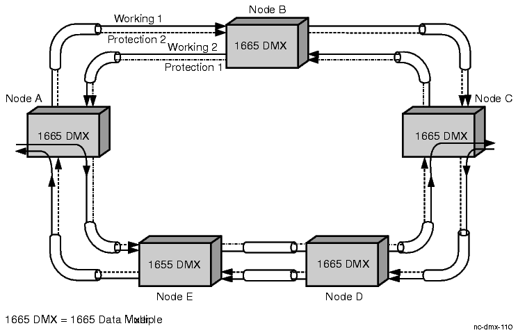 Normal traffic flow in a 2-fiber BLSR
