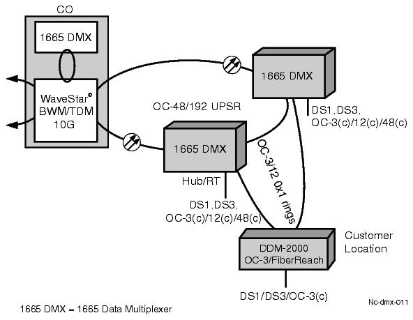Dual homing example