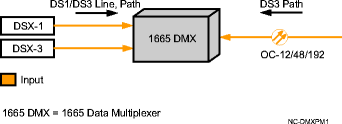 DS1/DS3 line/path performance monitoring