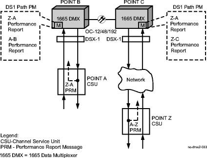 DS1 path performance monitoring