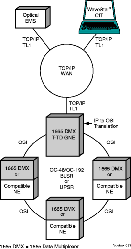 TL1 translation device