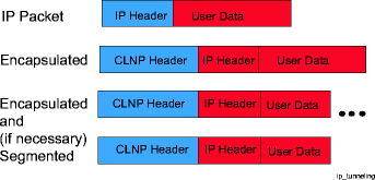 Encapsulated IP packets