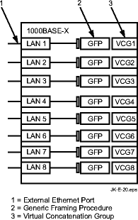 LNW64 Gigabit Ethernet (Private Line) circuit pack