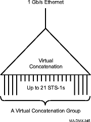 Virtual Concatenation Group