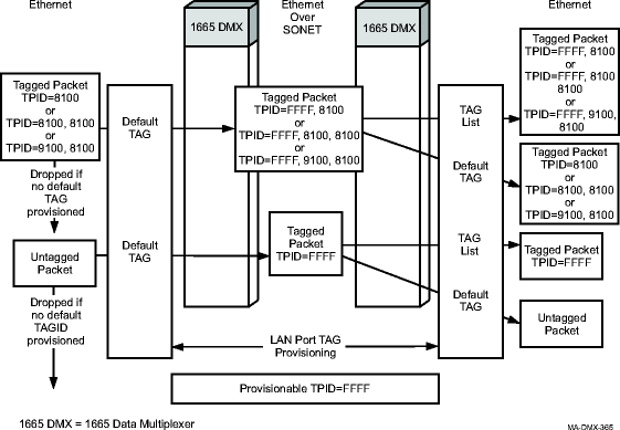 Transparent mode tag processing