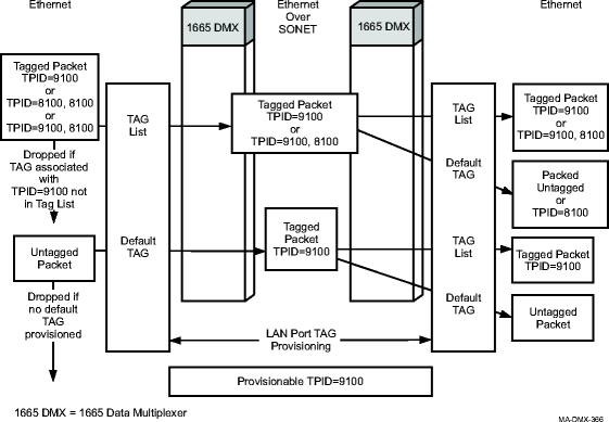 Transparent mode tag processing with stacked VLANs