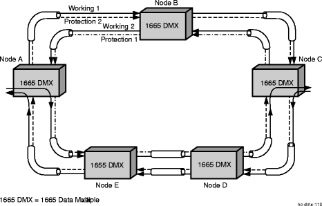 Normal traffic flow in a 2-fiber BLSR