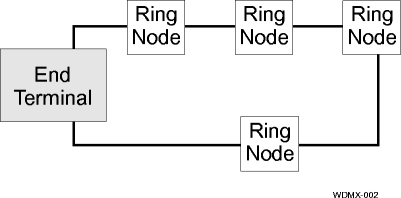 View the figure