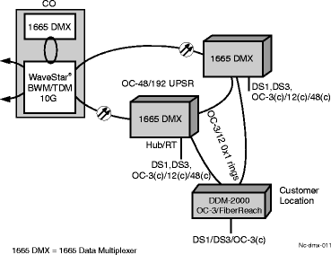 Dual homing example