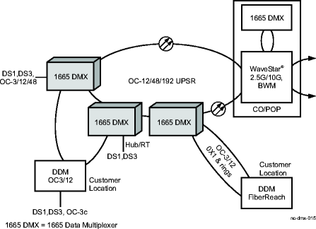 Established network evolution