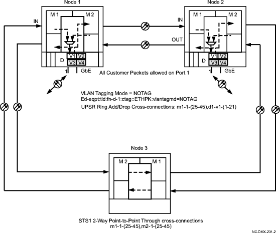 Point-to-Point 1GbE full rate private line example