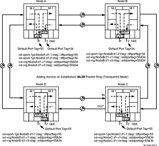 Example service on BLSR using transparent tagging mode