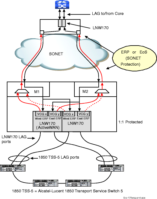 ERP on LNW170 protected VCG ports