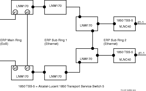 ERP DRI ladder example