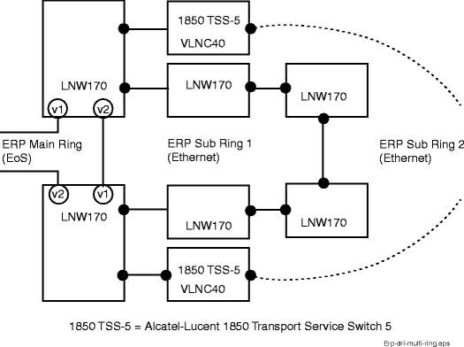 ERP DRI multi-ring example