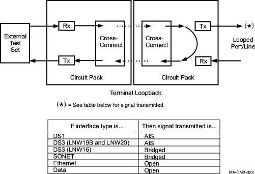 Terminal loopback example