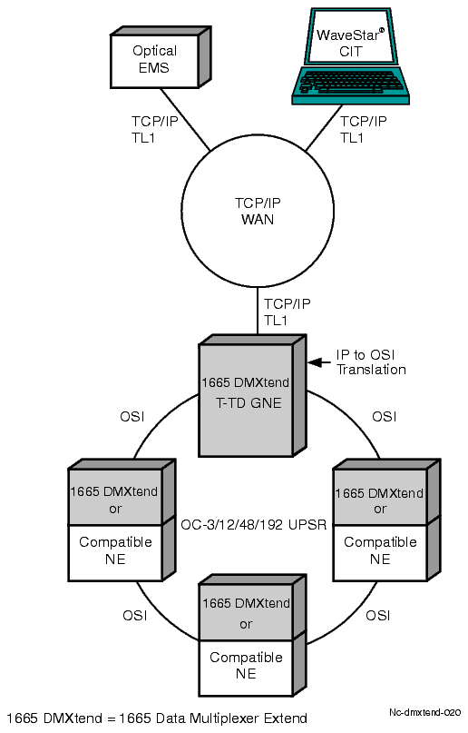 TL1 translation device