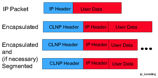 Encapsulated IP packets