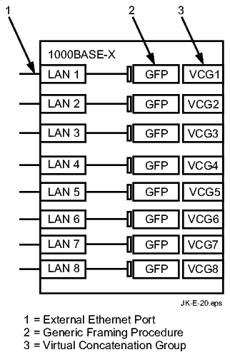 LNW64 Gigabit Ethernet (Private Line) circuit pack