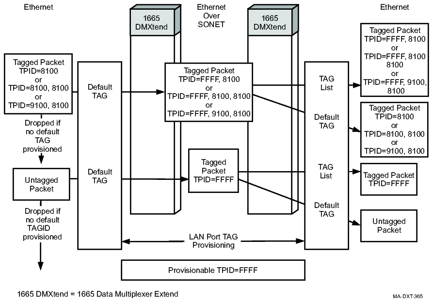 Transparent mode tag processing