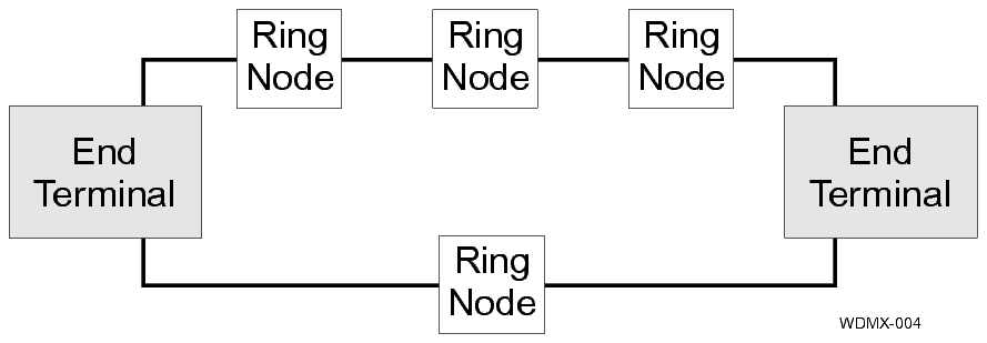 View the figure