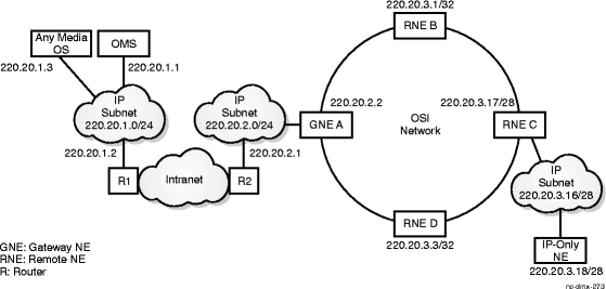 IP NEs on the fringe