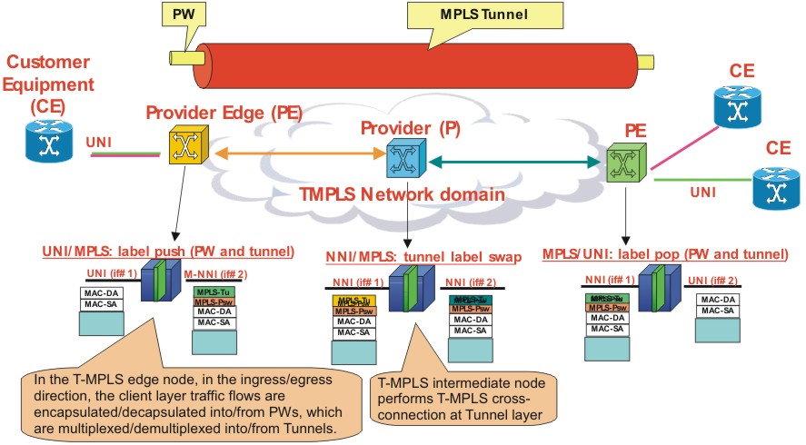 T-MPLS single domain scenario