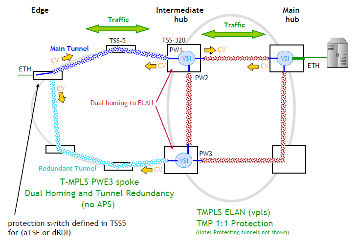 T-MPLS dual-homing scenario