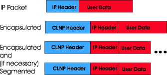 Encapsulated IP packets