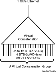 Virtual concatenation group for VLNC50/52/55