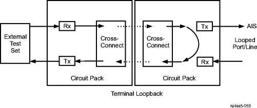 Terminal loopback example