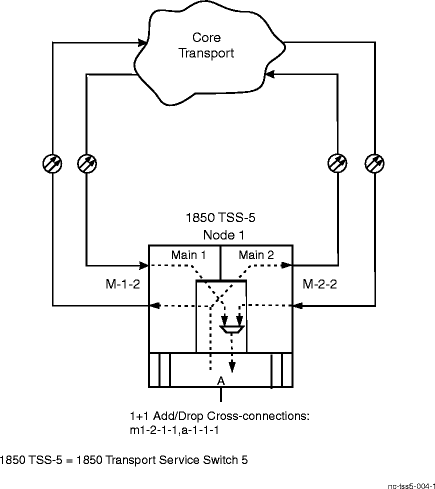 Example of 1+1 Add/Drop Cross-Connections