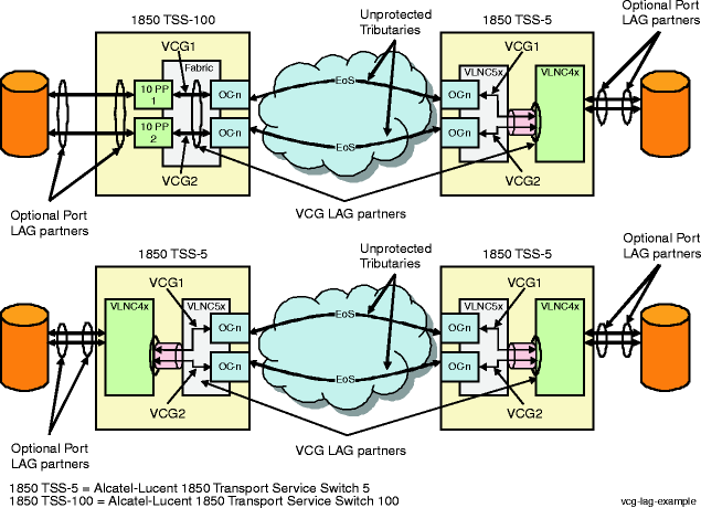 View the figure