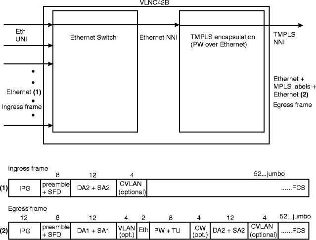 VLNC42B Ethernet packet processing on TMPLS