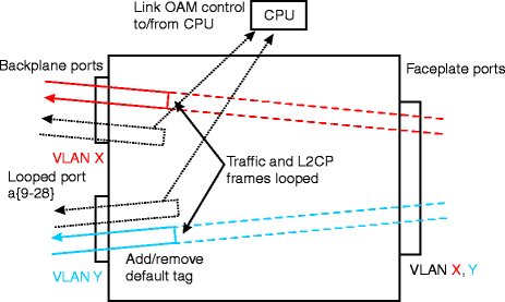 VLNC40/42 link loopback — Example 1
