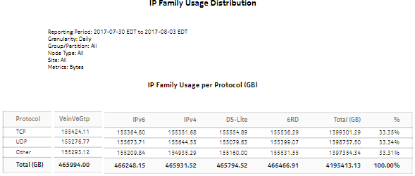 IP Family Usage Report