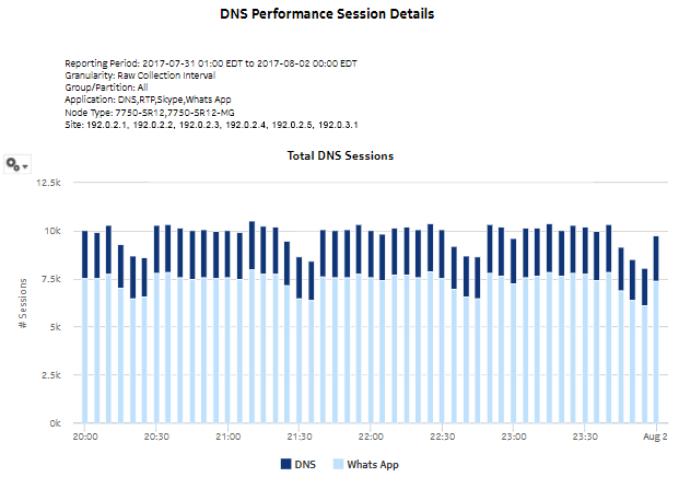 DNS Performance Session Details report