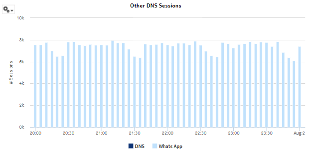 DNS Performance Session Details report—Other DNS Sessions
