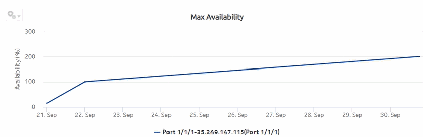 Ports and Interfaces Availability Details report