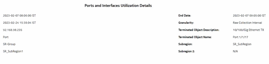 Ports and Interfaces Utilization Details report