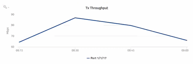 Ports and Interfaces Utilization Details report