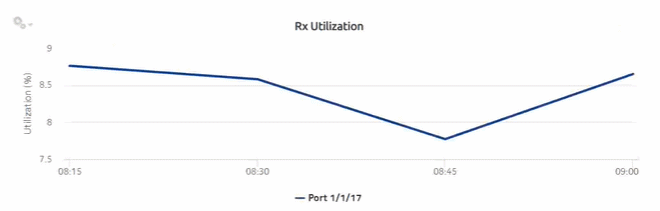 Ports and Interfaces Utilization Details report