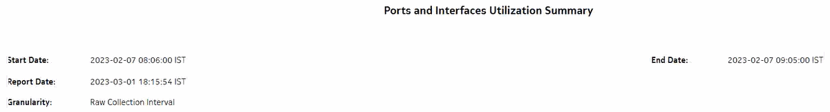 Ports and Interfaces Utilization Summary report