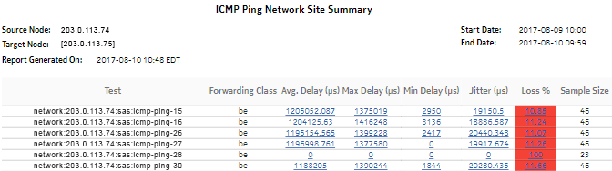 ICMP Ping Network Site Summary report